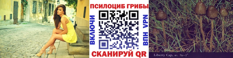 Галлюциногенные грибы Cubensis  даркнет формула  Игра 